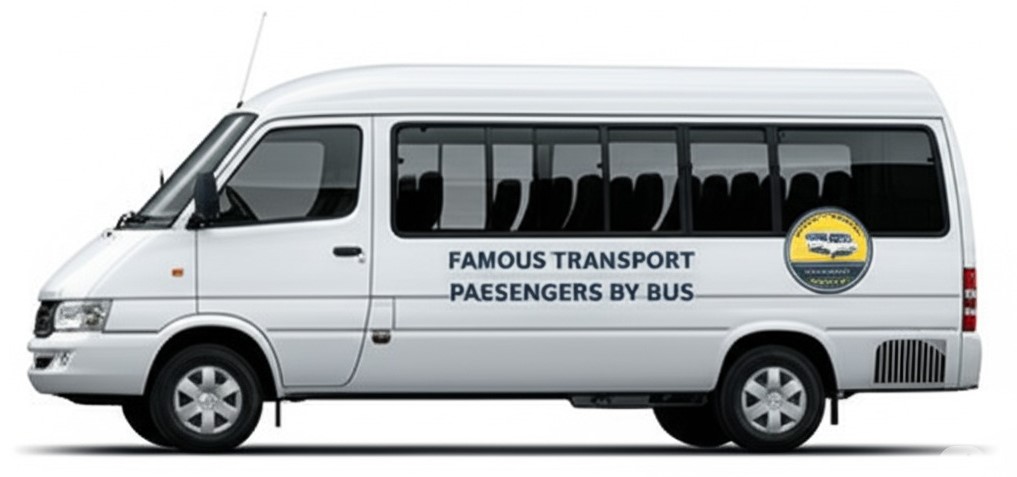 Kia Granbird Large Luxury Bus