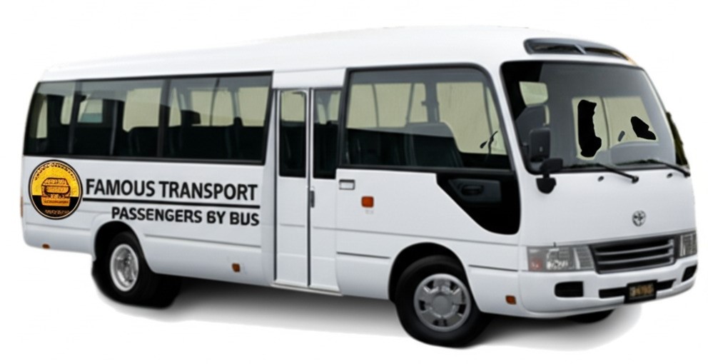 Scania Touring High Capacity Luxury Coach
