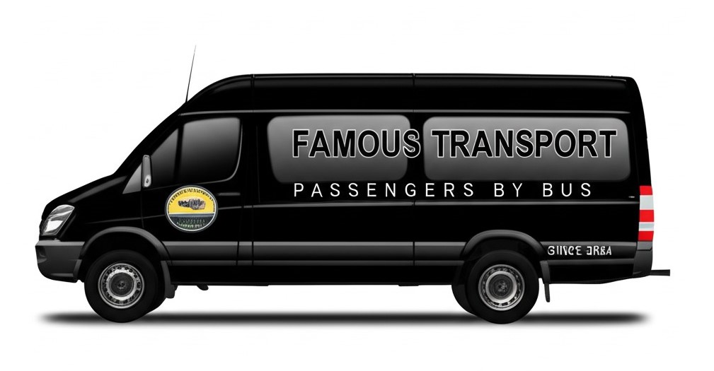 Ford Transit Modern Passenger Van